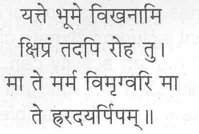 यत्ते भूमे विखनामि क्षिप्रं तदपि रोह तु। मा ते मर्म विमृग्वरि मा ते ह्ररदयर्पिपम् ॥